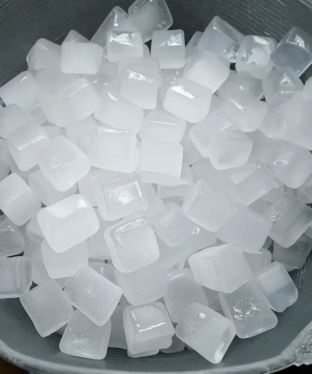 Bucket Of Ice